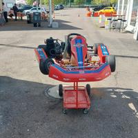 kart rotax 125