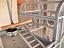 Immagine 5