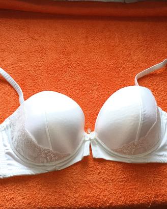 REGGISENO