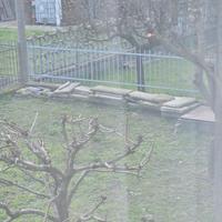 gradini di cemento ,( regaloo )