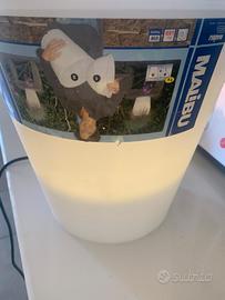 Vasi luminosi 6 pezzi