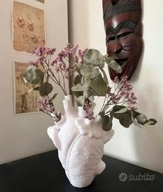 Vaso Cuore anatomico