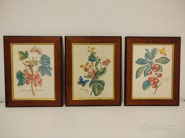 Quadri botanici vintage