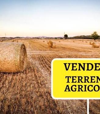 Terreno irriguo. Anche a.ffitto con riscatto