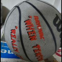 Palloni Basket Wilson 'Michael Jordan'