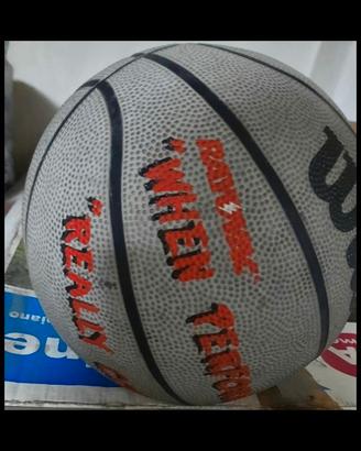 Palloni Basket Wilson 'Michael Jordan'
