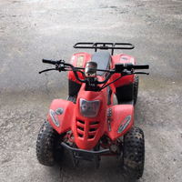 Mini quad elettrico