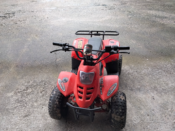 Mini quad elettrico