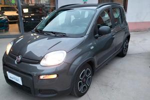 Fiat Panda 1.0 70cv Hybrid City Life PARI AL NUOVO