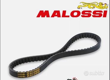 Cinghia variatore Malossi AGILITY R16 125 4T euro 