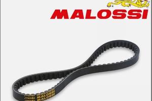 Cinghia variatore Malossi AGILITY R16 125 4T euro 