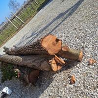 Tronchi noce nazionale