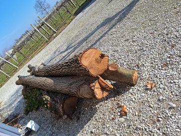 Tronchi noce nazionale