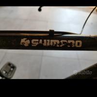 bicicletta Mountain bike