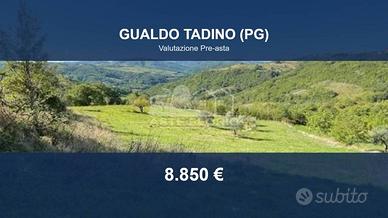 Immobile in asta di 21995 m² a Gualdo Tadino