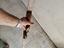 Immagine 6