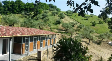 Struttura abitativa + attività cinofila