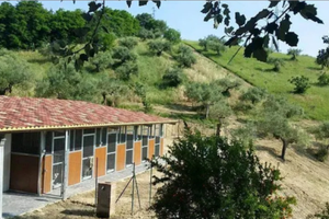 Struttura abitativa + attività cinofila