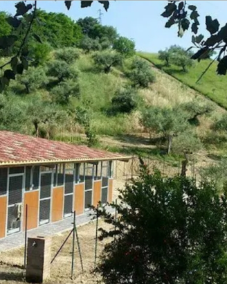 Struttura abitativa + attività cinofila