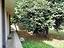 Immagine 25