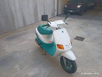 Zip piaggio 50