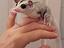 Immagine 1