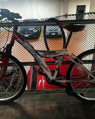 Bicicletta