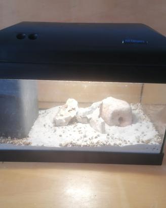 Acquario