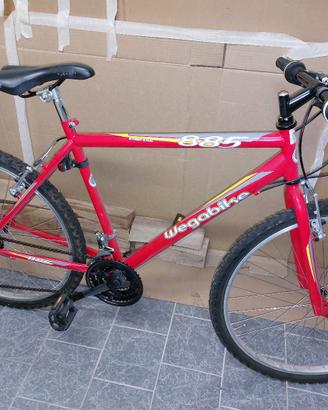 Mountain bike uomo