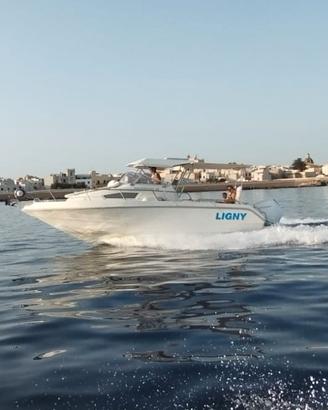 Barca Ligny 25 semicabinato 