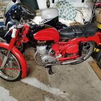Benelli leoncino 1956