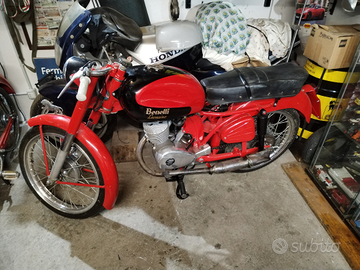 Benelli leoncino 1956