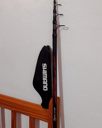 Canna da pesca 