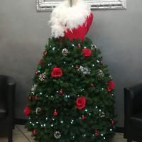 albero di natale 