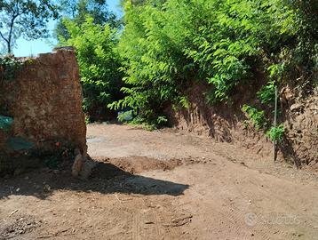 Terreno rustico casolare capanna fienile