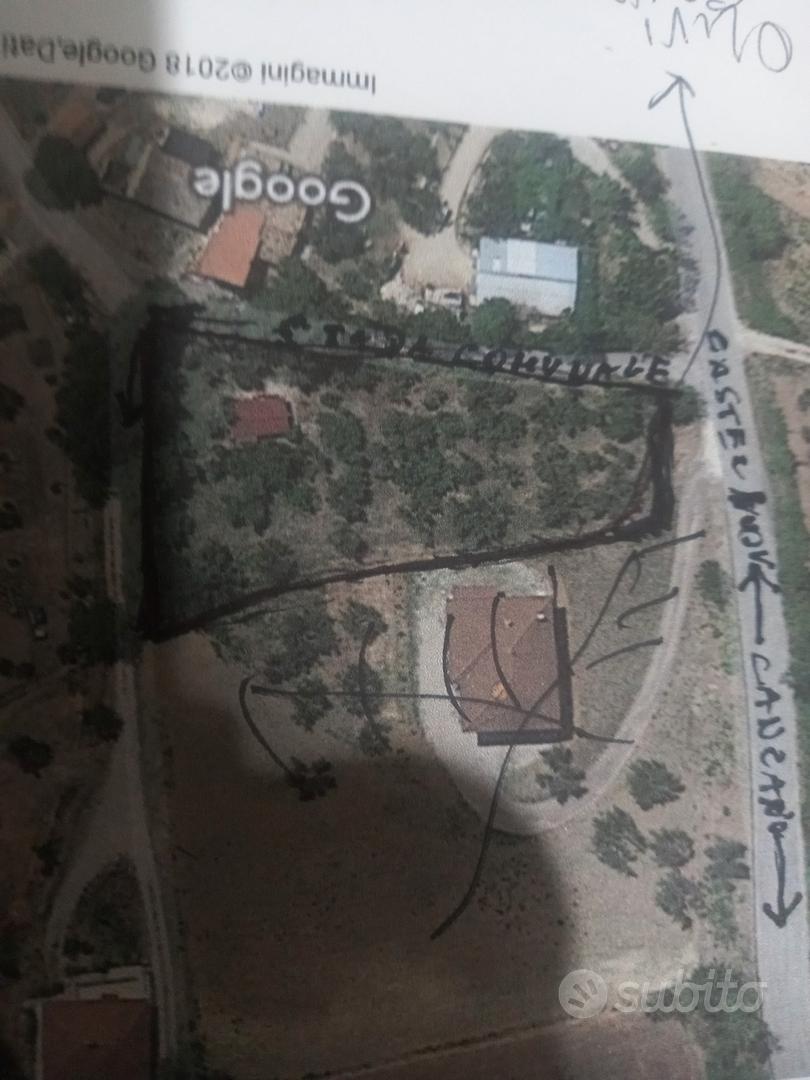 Terreno con ulivi e rimessaggio - Vista 5