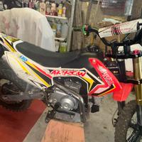 Pit bike Ayrton legend