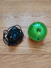 Stirilizzacuccio Duccio