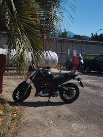 Benelli BN 251 - 2017