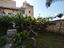 Immagine 7