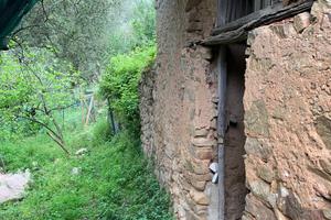 Rustico vista mare in collina