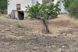 VIlla singola con terreno e uliveto