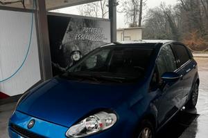 fiat punto neopatentati