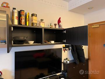 Mobile Besta IKEA 2 sportelli