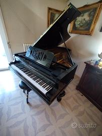 Pianoforte a coda