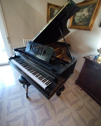 Pianoforte a coda