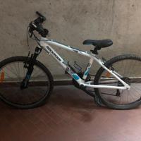 bicicletta mtb