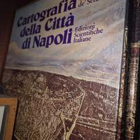 Cartografia della citta di Napoli