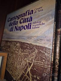 Cartografia della citta di Napoli