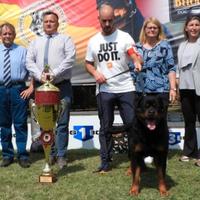 Cuccioli Rottweiler disponibili maschi e femmine